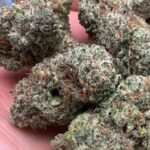 THCa Premium Exotic Flower