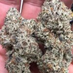 THCa Premium Exotic Flower