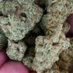 THCa Premium Exotic Flower