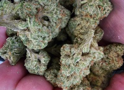 THCa Premium Exotic Flower