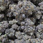 THCa Premium Exotic Flower