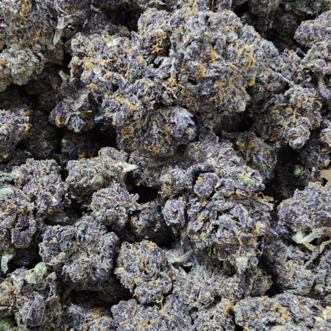 THCa Premium Exotic Flower