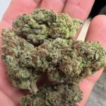 THCa Premium Exotic Flower