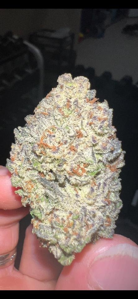 THCa Premium Exotic Flower