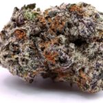 THCa Premium Exotic Flower